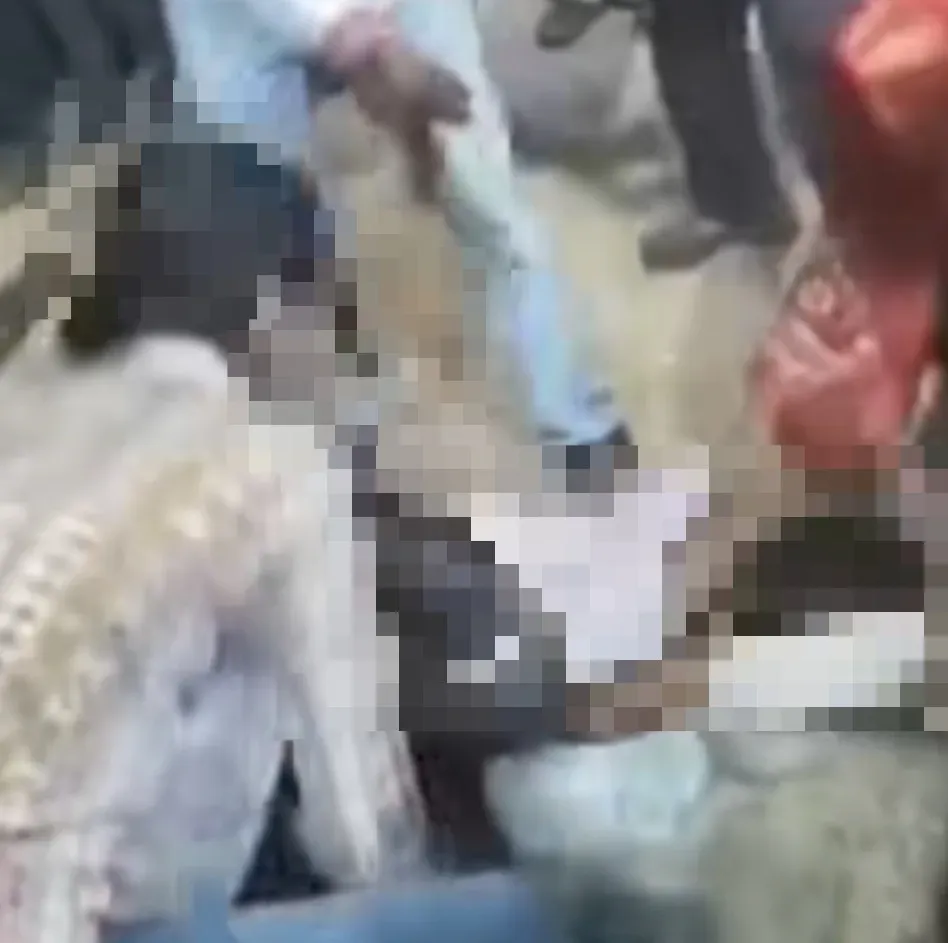 ब्रेकिंग न्यूज़ | डबरा में AI से युवती का आपत्तिजनक वीडियो वायरल करने का आरोप, दो युवकों की चप्पलों से पिटाई!