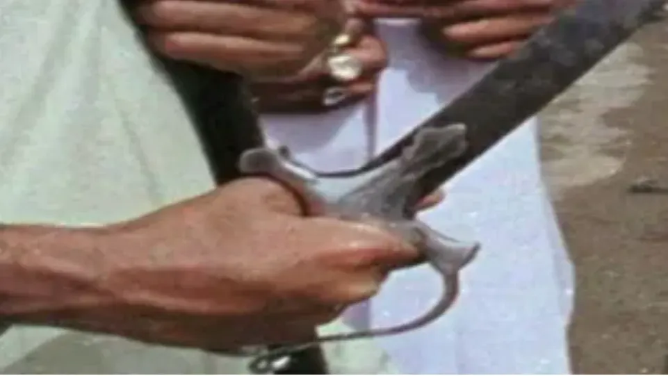 ग्वालियर में पत्नी देख रही थी श्रीराम की रील, पति ने 'महाकाल' की जिद में तलवार से काटा; आरोपी फरार